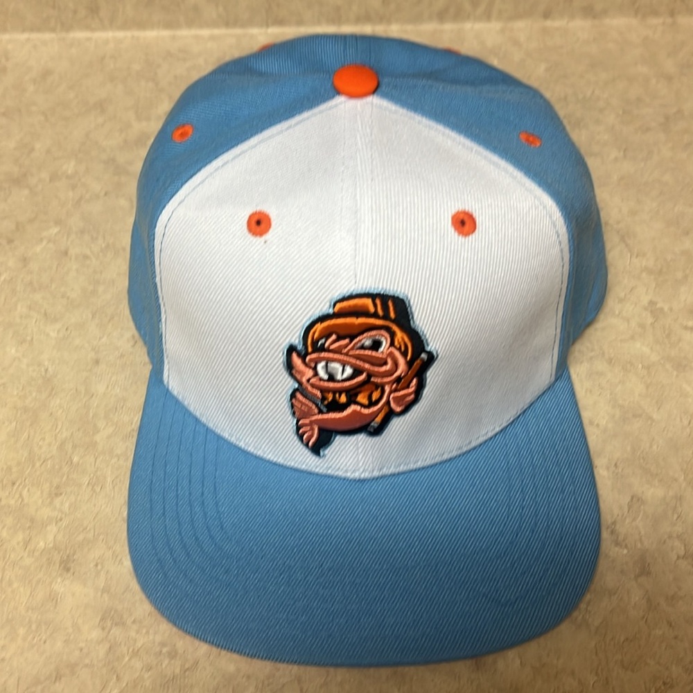 rsvlt hat - Picture 2 of 7